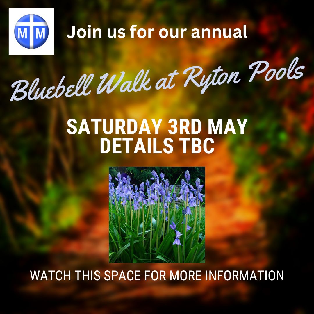 Bluebell Walk